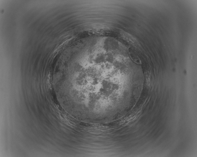 X0000065971060200603101352