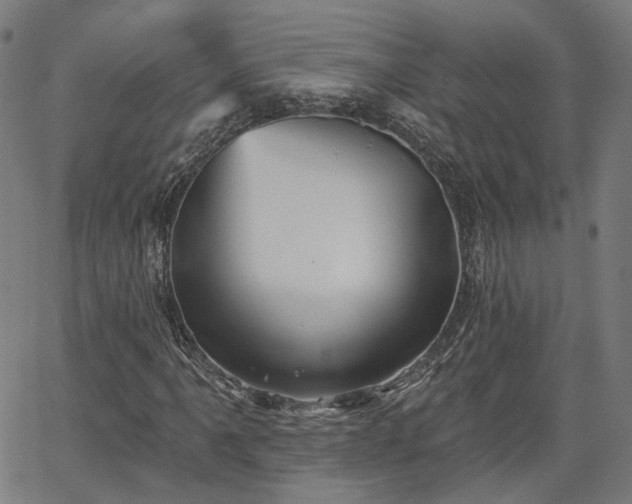 X0000065971061200603101351