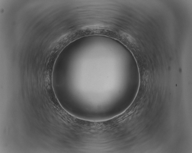 X0000065971062200603101351