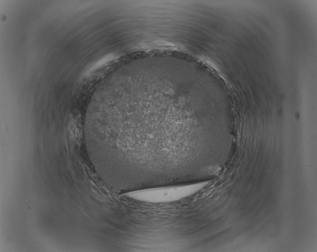 X0000065971063200603101351