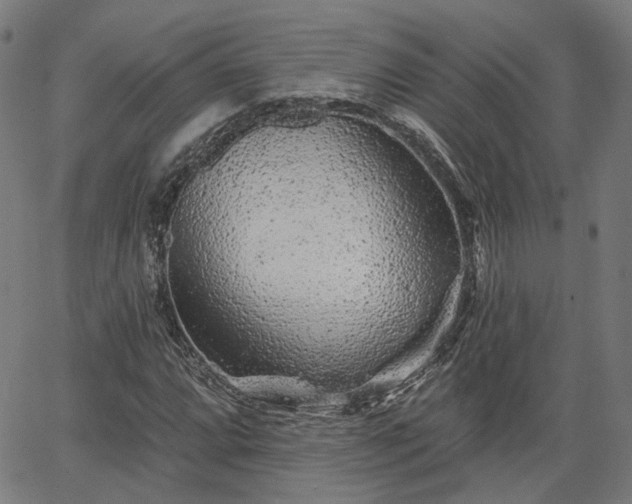 X0000065971064200603101351