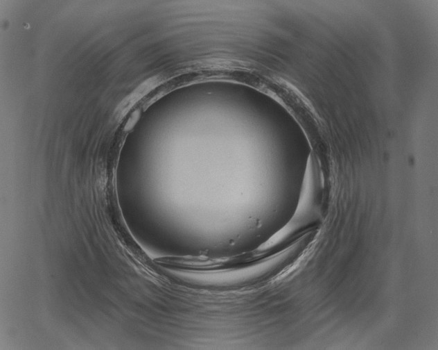 X0000065971065200603101351