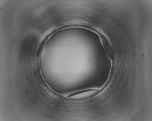 X0000065971067200603101351