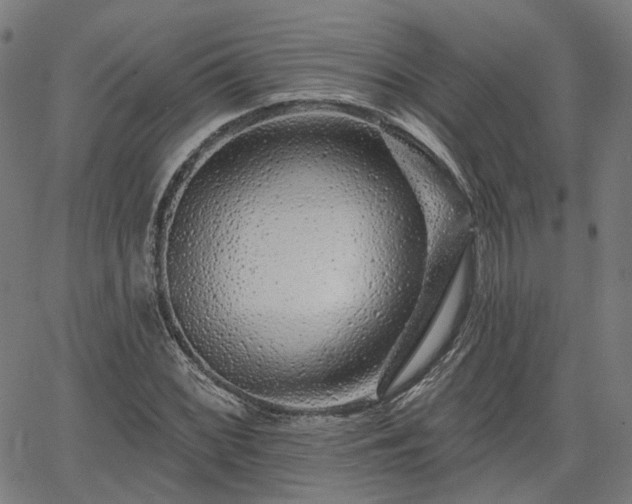 X0000065971068200603101351