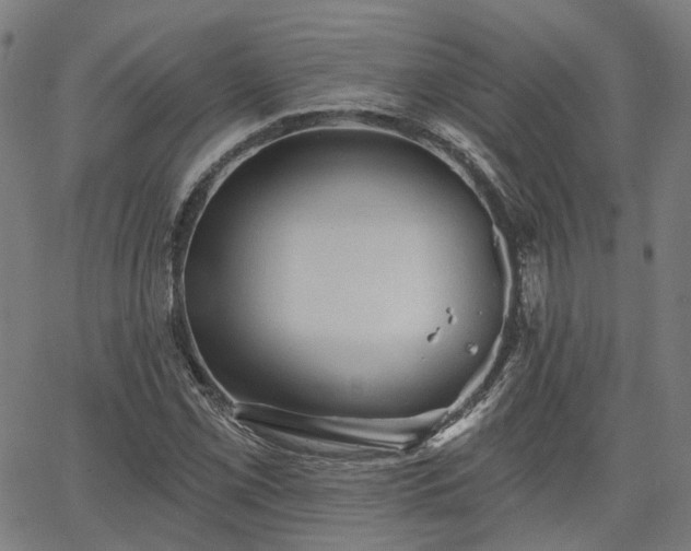 X0000065971069200603101351