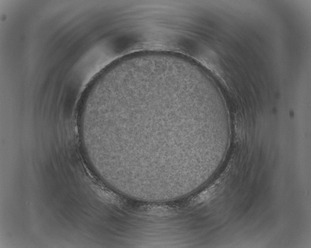 X0000065971070200603101351