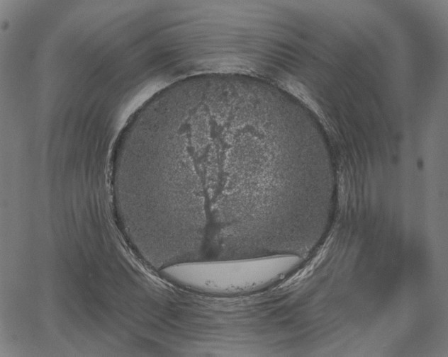 X0000065971071200603101351