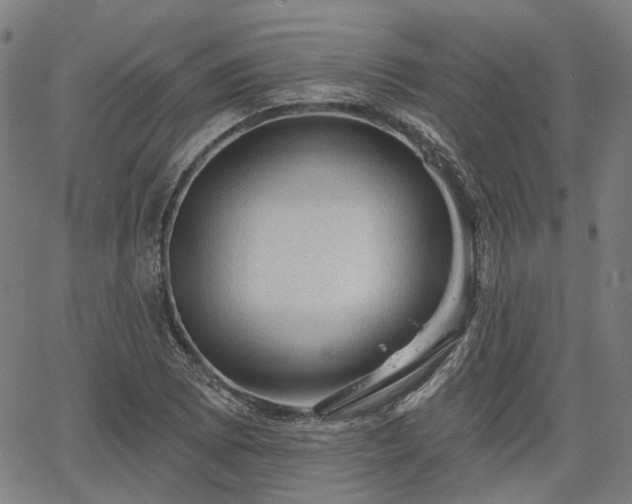 X0000065971073200603101351