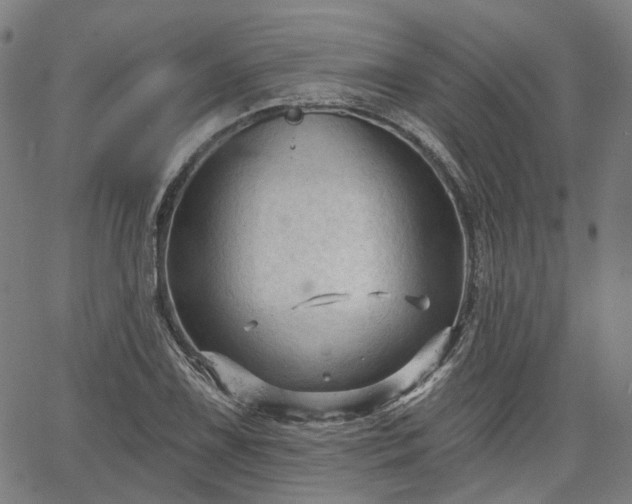 X0000065971075200603101351