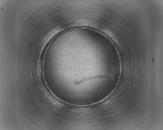 X0000065971076200603101351