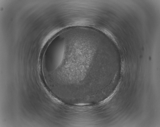 X0000065971077200603101351