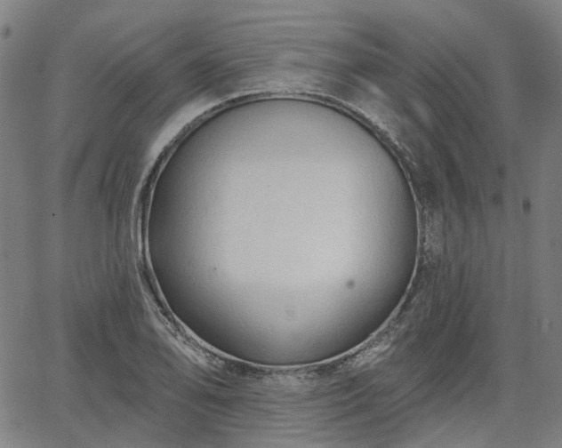 X0000065971078200603101351