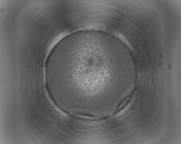 X0000065971079200603101351