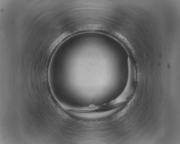 X0000065971081200603101351