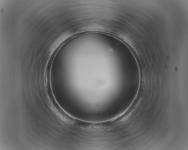 X0000065971082200603101351