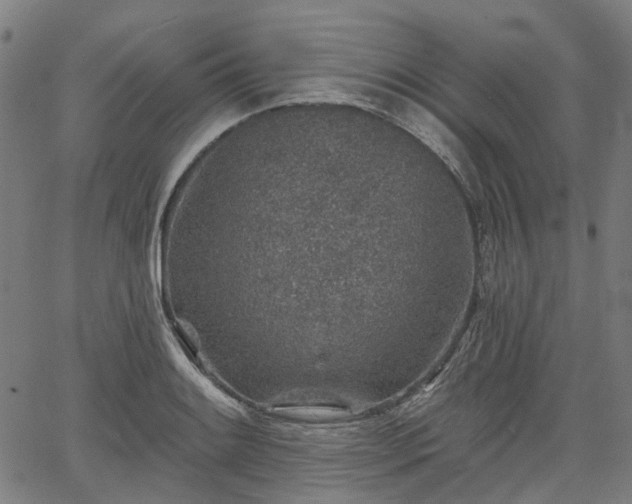 X0000065971084200603101351