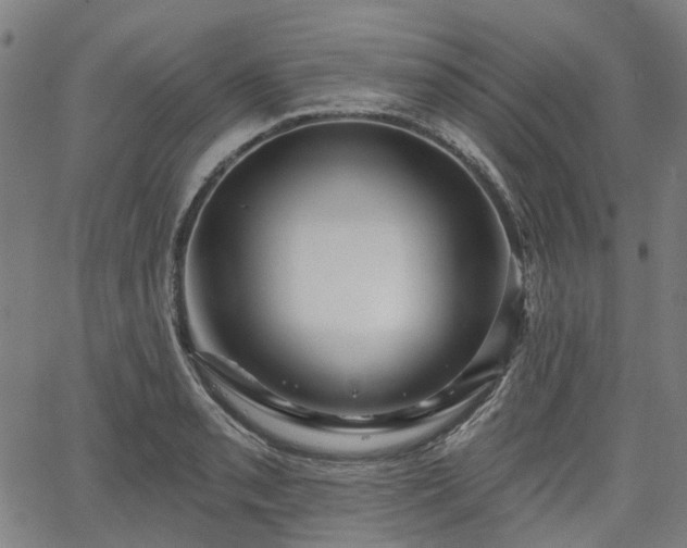 X0000065971085200603101351