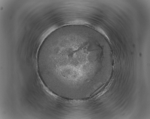 X0000065971087200603101351