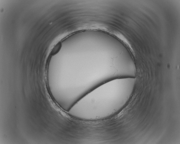 X0000065971088200603101351