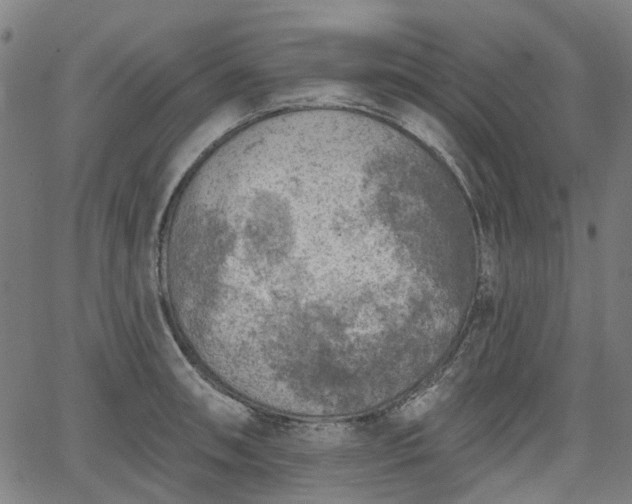 X0000065971090200603101351