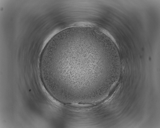 X0000065971091200603101351