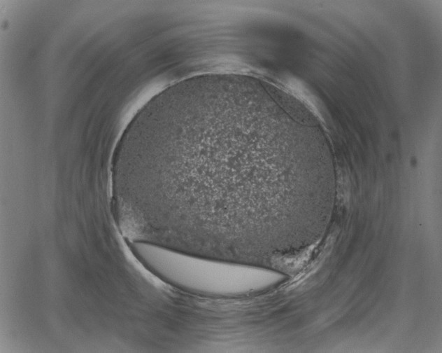 X0000065971095200603101351