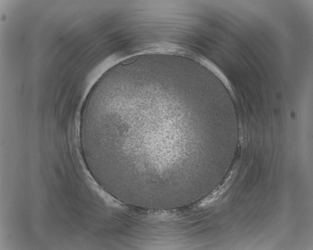 X0000065971099200603101351