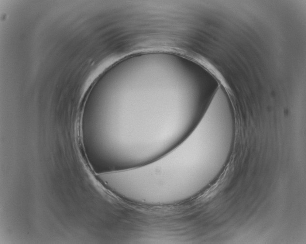 X0000065971101200603101351