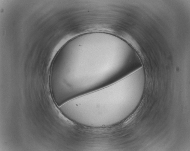 X0000065971102200603101351