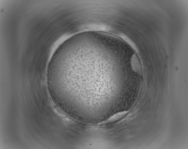 X0000065971104200603101351