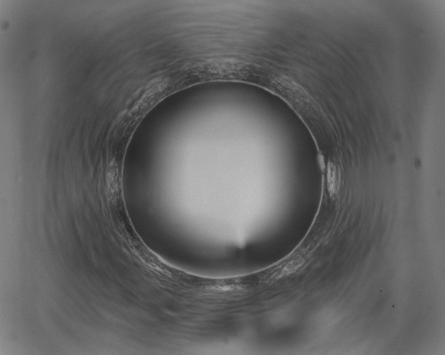 X0000065971107200603101350