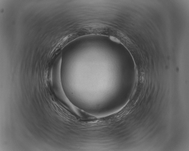 X0000065971108200603101350