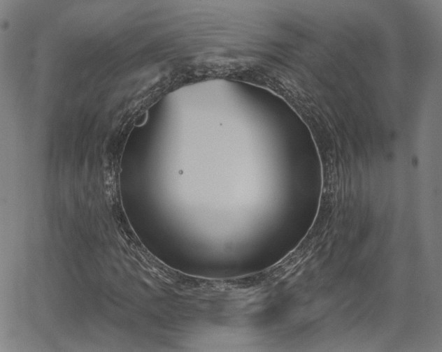 X0000065971109200603101350