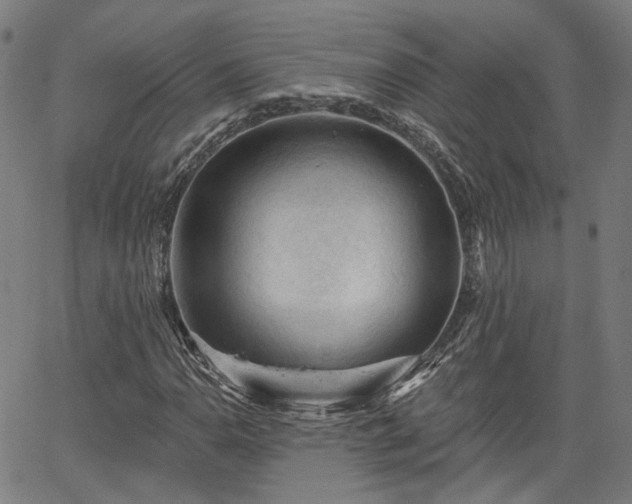 X0000065971110200603101350