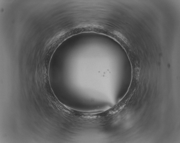 X0000065971111200603101350