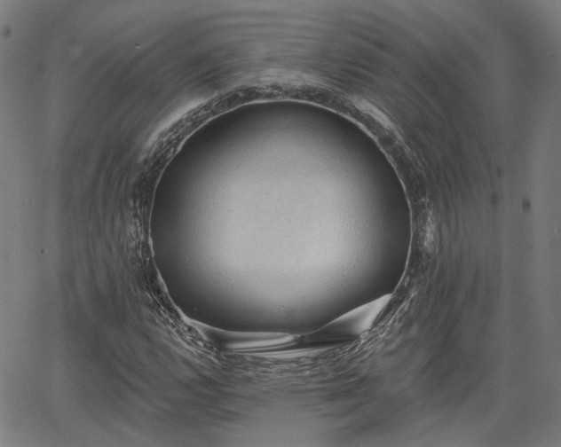 X0000065971112200603101350