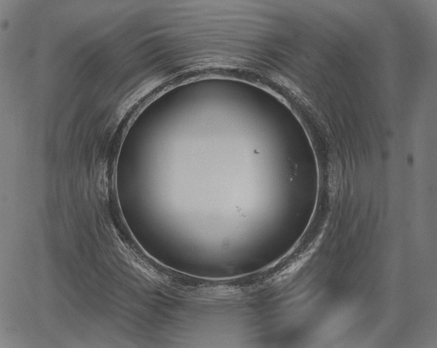 X0000065971113200603101350