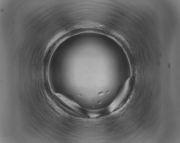 X0000065971114200603101350