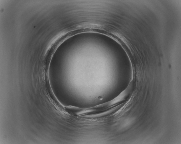 X0000065971115200603101350