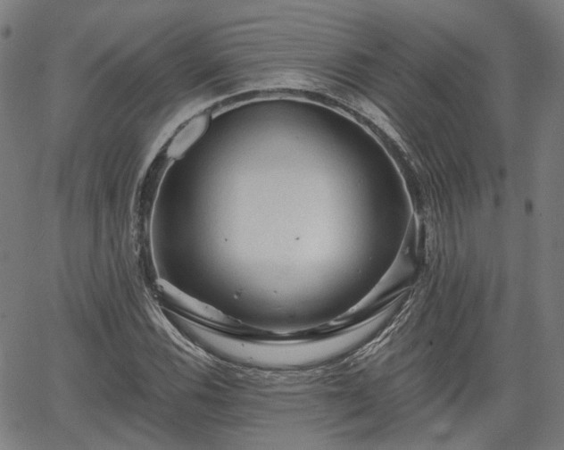 X0000065971116200603101350