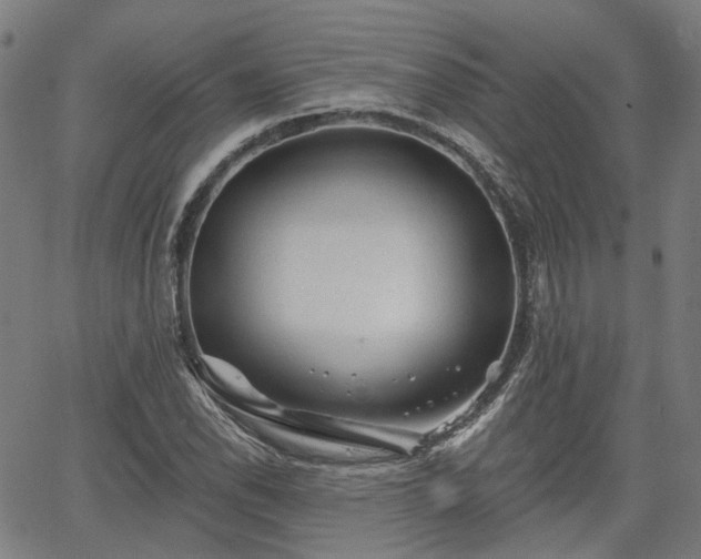 X0000065971118200603101350