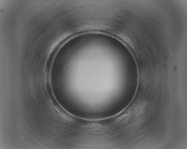 X0000065971119200603101350