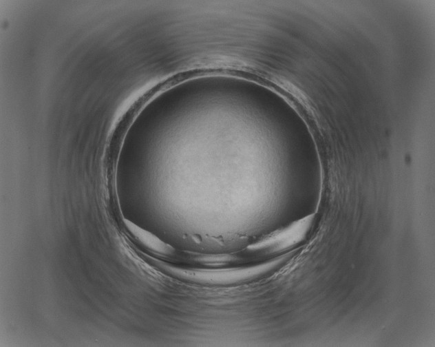 X0000065971120200603101350