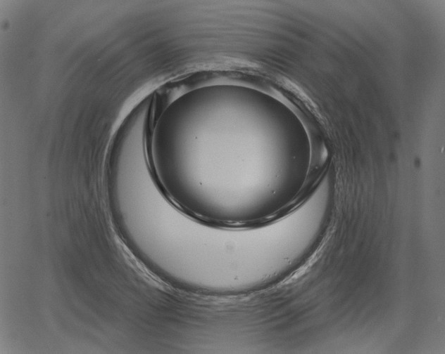 X0000065971122200603101350