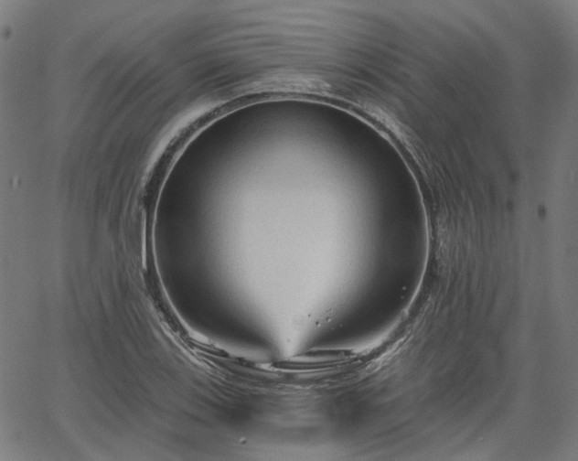 X0000065971123200603101350