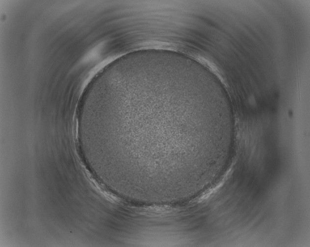 X0000065971125200603101350