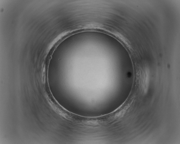 X0000065971126200603101350