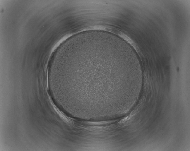 X0000065971127200603101350