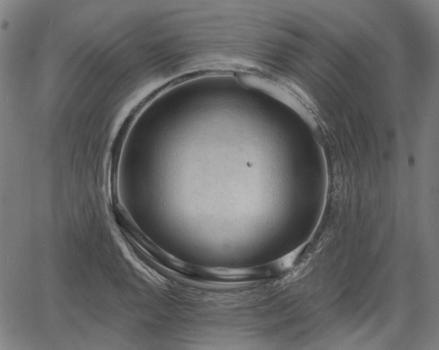 X0000065971128200603101350