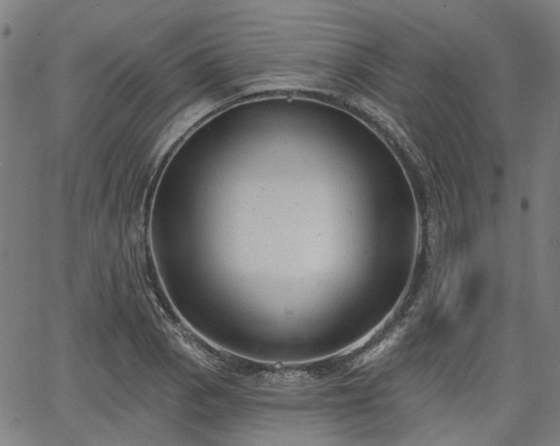 X0000065971129200603101350